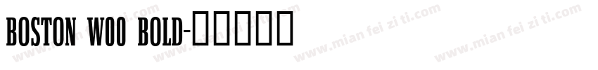 Boston W00 Bold字体转换
